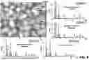 Fig. 10 - PHASE SEPARATED GLASS SUBSTRATE WITH MAGNETIZABLE COMPONENT AND ANTIMICROBIAL COMPONENT, METHOD OF FORMING THE SUBSTRATE, METHODS OF USING THE SUBSTRATE, AND ARTICLES INCORPORATING THE SUBSTRATE