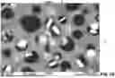 Fig. 11 - PHASE SEPARATED GLASS SUBSTRATE WITH MAGNETIZABLE COMPONENT AND ANTIMICROBIAL COMPONENT, METHOD OF FORMING THE SUBSTRATE, METHODS OF USING THE SUBSTRATE, AND ARTICLES INCORPORATING THE SUBSTRATE