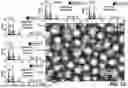 Fig. 13 - PHASE SEPARATED GLASS SUBSTRATE WITH MAGNETIZABLE COMPONENT AND ANTIMICROBIAL COMPONENT, METHOD OF FORMING THE SUBSTRATE, METHODS OF USING THE SUBSTRATE, AND ARTICLES INCORPORATING THE SUBSTRATE