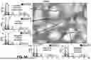 Fig. 15 - PHASE SEPARATED GLASS SUBSTRATE WITH MAGNETIZABLE COMPONENT AND ANTIMICROBIAL COMPONENT, METHOD OF FORMING THE SUBSTRATE, METHODS OF USING THE SUBSTRATE, AND ARTICLES INCORPORATING THE SUBSTRATE