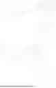 Fig. 489 - THIOPHENE-BASED LIPIDS