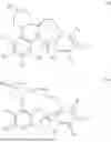 Fig. 136 - COMPOUNDS AS MODULATORS OF ENDOPLASMIC RETICULUM AMINOPEPTIDASE 1 (ERAP1)