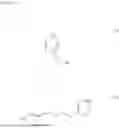 Fig. 07 - PROTEIN FOLDING AGENT