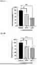Fig. 05 - Peptides