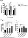 Fig. 16 - Peptides