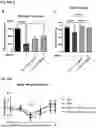 Fig. 20 - Peptides