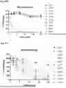 Fig. 32 - Peptides
