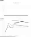 Fig. 40 - Peptides