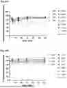 Fig. 44 - Peptides