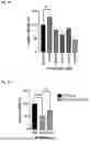 Fig. 47 - Peptides