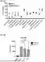 Fig. 52 - Peptides