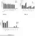 Fig. 02 - SELF-AMPLIFYING MESSENGER RNA