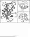Fig. 02 - A PROTEIN-BASED SENSOR FOR METALS IN ENVIRONMENTAL SAMPLES AND USES THEREOF