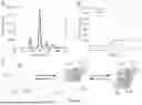 Fig. 09 - A PROTEIN-BASED SENSOR FOR METALS IN ENVIRONMENTAL SAMPLES AND USES THEREOF