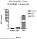 Fig. 03 - EXTRACELLULAR VESICLES LOADED WITH STRUCTURAL BIOMOLECULES