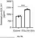 Fig. 18 - EXTRACELLULAR VESICLES LOADED WITH STRUCTURAL BIOMOLECULES