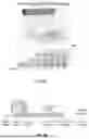 Fig. 22 - EXTRACELLULAR VESICLES LOADED WITH STRUCTURAL BIOMOLECULES
