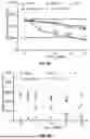 Fig. 24 - EXTRACELLULAR VESICLES LOADED WITH STRUCTURAL BIOMOLECULES