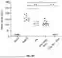 Fig. 26 - EXTRACELLULAR VESICLES LOADED WITH STRUCTURAL BIOMOLECULES