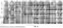 Fig. 27 - EXTRACELLULAR VESICLES LOADED WITH STRUCTURAL BIOMOLECULES