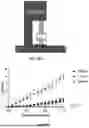 Fig. 33 - EXTRACELLULAR VESICLES LOADED WITH STRUCTURAL BIOMOLECULES