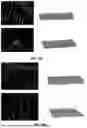 Fig. 37 - EXTRACELLULAR VESICLES LOADED WITH STRUCTURAL BIOMOLECULES