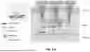 Fig. 41 - EXTRACELLULAR VESICLES LOADED WITH STRUCTURAL BIOMOLECULES