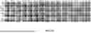 Fig. 42 - EXTRACELLULAR VESICLES LOADED WITH STRUCTURAL BIOMOLECULES