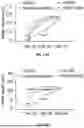 Fig. 45 - EXTRACELLULAR VESICLES LOADED WITH STRUCTURAL BIOMOLECULES