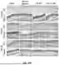 Fig. 48 - EXTRACELLULAR VESICLES LOADED WITH STRUCTURAL BIOMOLECULES