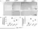 Fig. 08 - SELECTIVE TARGETING OF OLIGOMERIC B-AMYLOID