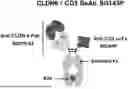 Fig. 01 - ANTI-CD3 MULTISPECIFIC ANTIBODIES AND METHODS OF USE