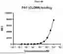 Fig. 22 - ANTI-CD3 MULTISPECIFIC ANTIBODIES AND METHODS OF USE