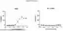Fig. 28 - ANTI-CD3 MULTISPECIFIC ANTIBODIES AND METHODS OF USE