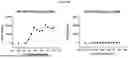 Fig. 31 - ANTI-CD3 MULTISPECIFIC ANTIBODIES AND METHODS OF USE