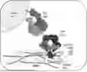 Fig. 01 - LTBP COMPLEX-SPECIFIC INHIBITORS OF TGFb1 AND USES THEREOF