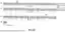 Fig. 08 - ANTIGEN BINDING MOLECULES WITH INCREASED FC RECEPTOR BINDING AFFINITY AND EFFECTOR FUNCTION