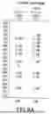 Fig. 12 - ANTIGEN BINDING MOLECULES WITH INCREASED FC RECEPTOR BINDING AFFINITY AND EFFECTOR FUNCTION