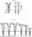 Fig. 02 - CHIMERIC ANTIGEN RECEPTOR