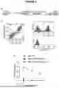 Fig. 12 - CHIMERIC ANTIGEN RECEPTOR