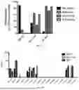 Fig. 08 - HEPARIN FROM MODIFIED MST CELLS AND METHODS OF MAKING AND USING