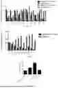 Fig. 12 - HEPARIN FROM MODIFIED MST CELLS AND METHODS OF MAKING AND USING