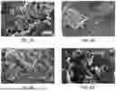 Fig. 06 - Date palm residue drilling mud composition