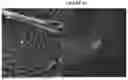 Fig. 45 - SMALL MOBILE STEM CELLS (SMS) AND USES THEREOF