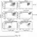 Fig. 18 - RPE CELL POPULATIONS AND METHODS OF GENERATING SAME