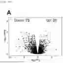 Fig. 07 - METHOD FOR PRODUCING CAR-T CELLS
