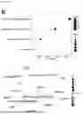 Fig. 08 - METHOD FOR PRODUCING CAR-T CELLS