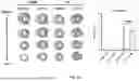 Fig. 02 - METHODS OF INDUCING CARDIAC CELL PROLIFERATION AND INDUCING HEART REGENERATION