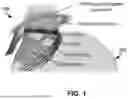 Fig. 02 - ALIGNMENT OF CELLS IN ENGINEERED TISSUES