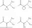 Fig. 09 - KETOREDUCTASE POLYPEPTIDES FOR THE PREPARATION OF PHENYLEPHRINE